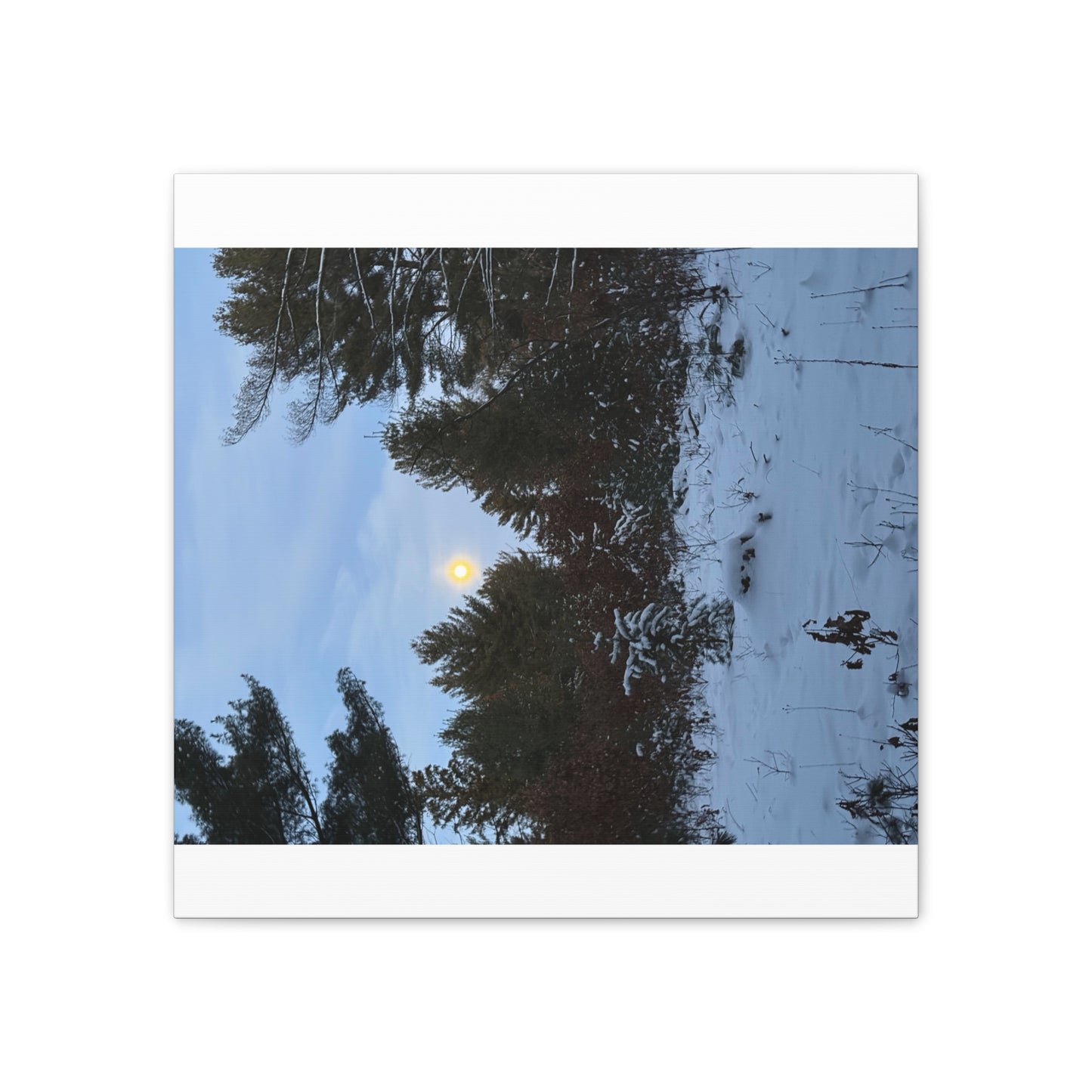 Wisconsin Adrenaline Junkies - Canvas Stretched, 0.75" - Snow