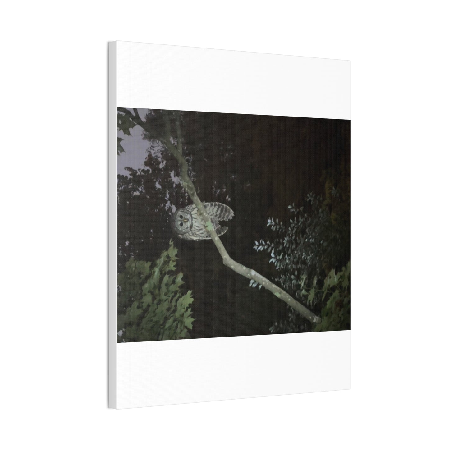 Wisconsin Adrenaline Junkies - Canvas Stretched, 0.75" - Watcher