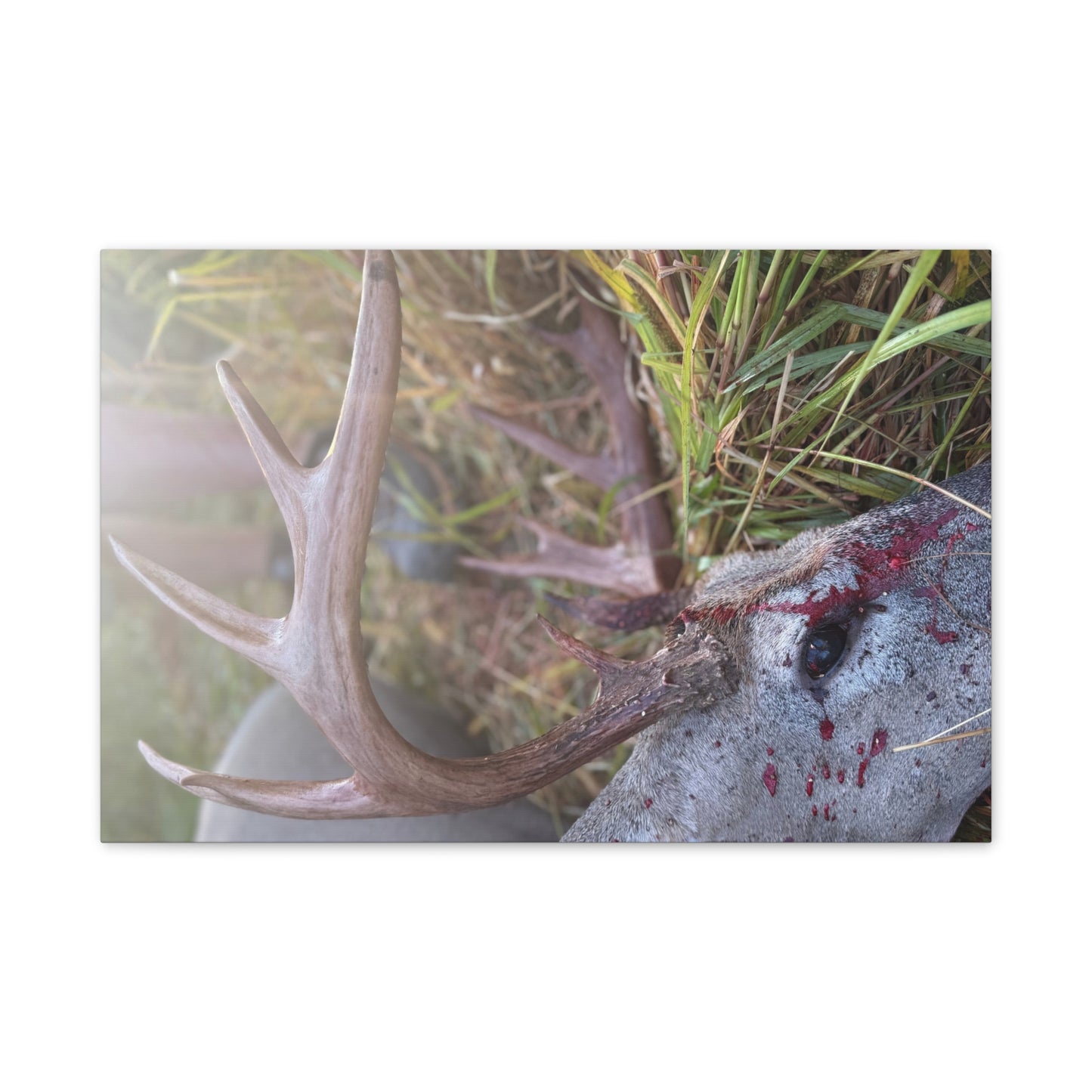 Wisconsin Adrenaline Junkies - Canvas Stretched, 0.75" - Gone