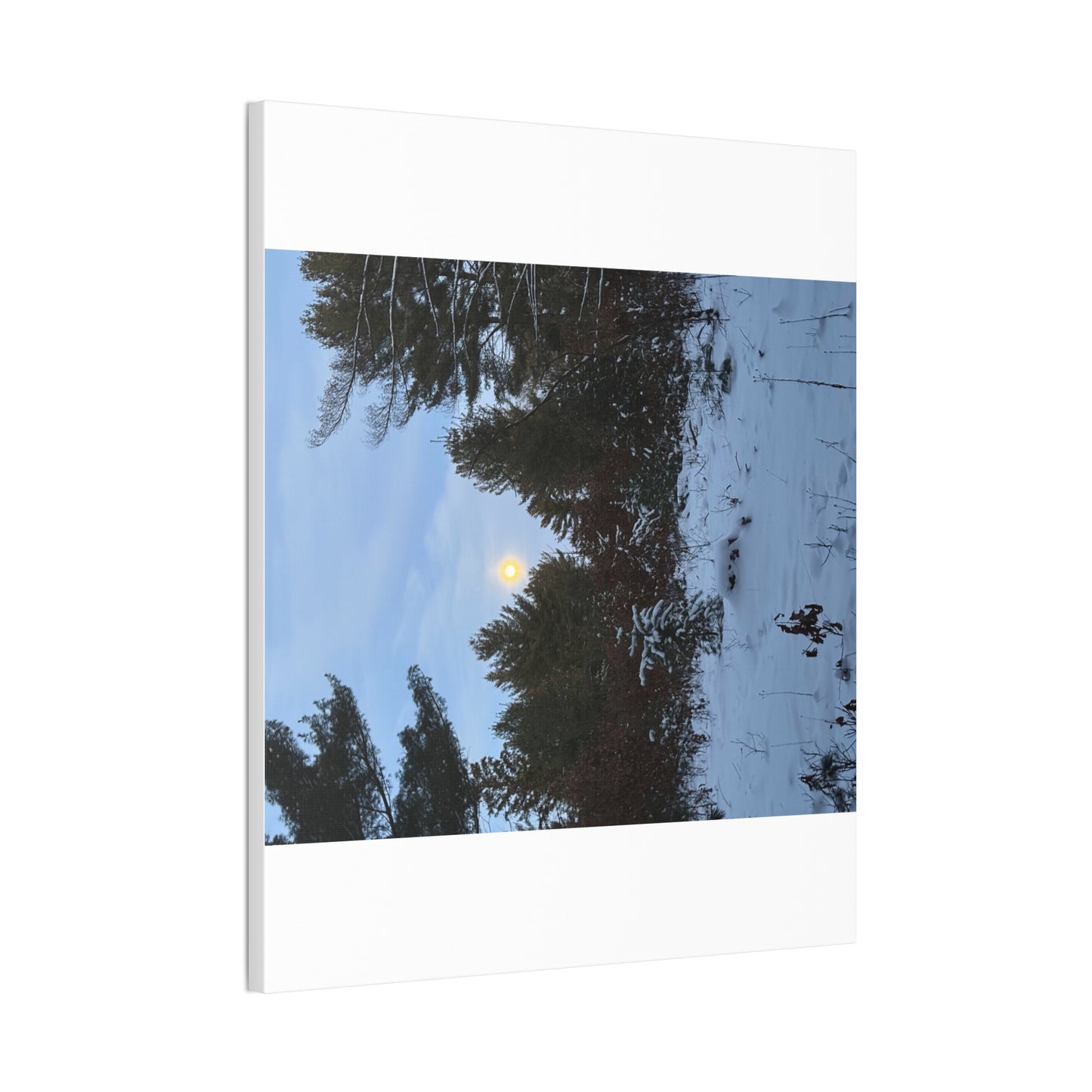 Wisconsin Adrenaline Junkies - Canvas Stretched, 0.75" - Snow