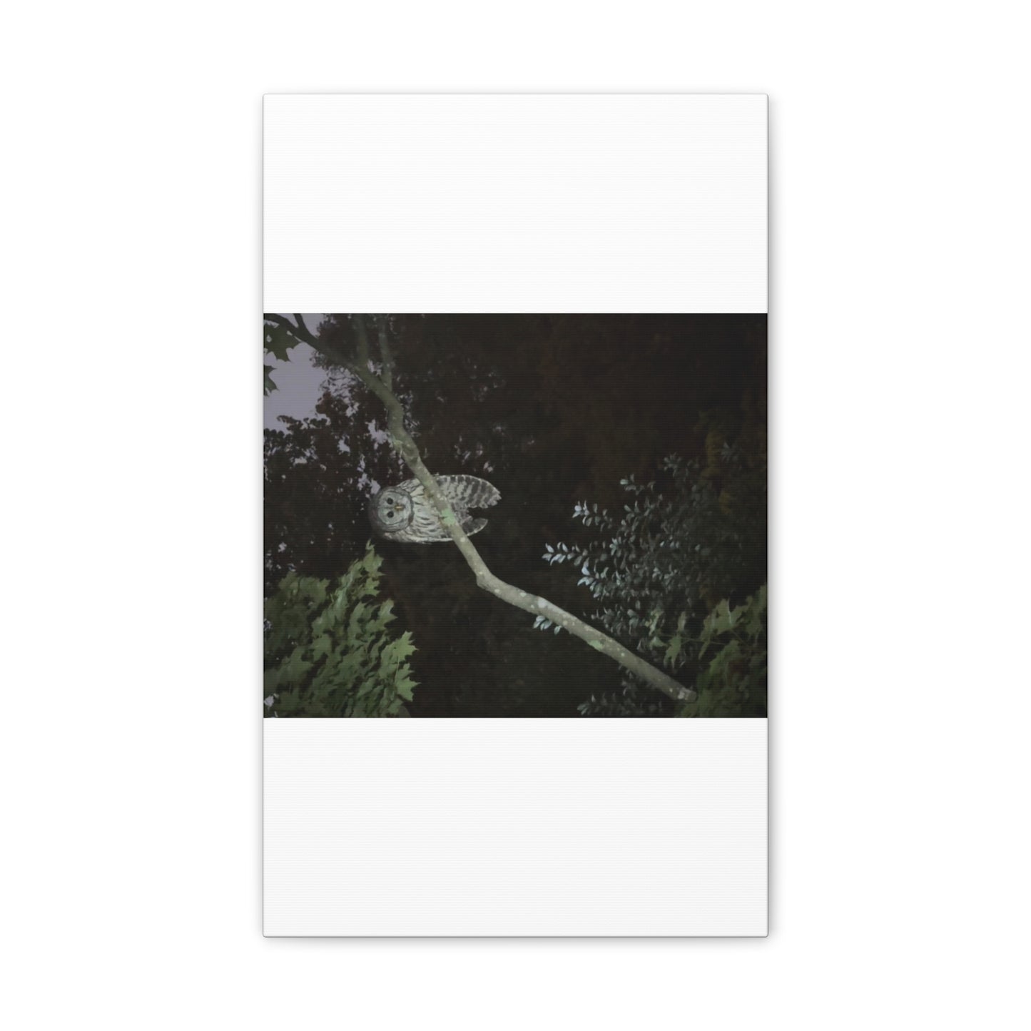Wisconsin Adrenaline Junkies - Canvas Stretched, 0.75" - Watcher
