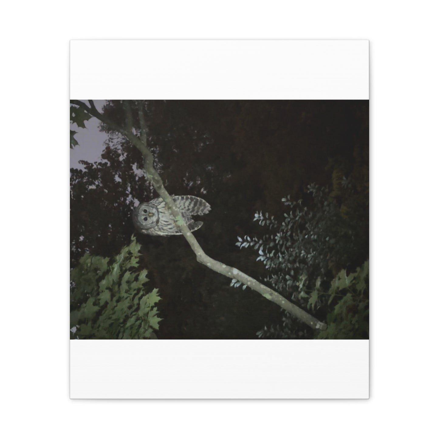 Wisconsin Adrenaline Junkies - Canvas Stretched, 0.75" - Watcher