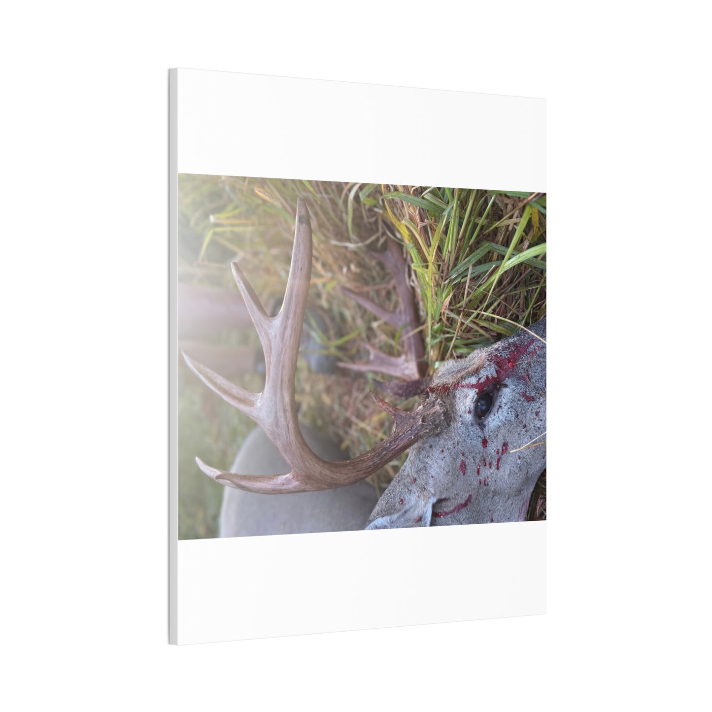 Wisconsin Adrenaline Junkies - Canvas Stretched, 0.75" - Gone