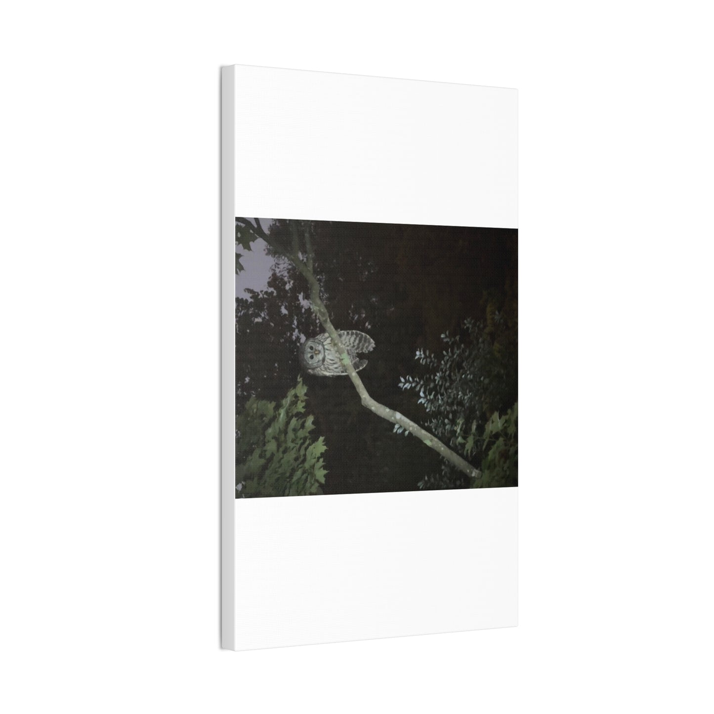 Wisconsin Adrenaline Junkies - Canvas Stretched, 0.75" - Watcher