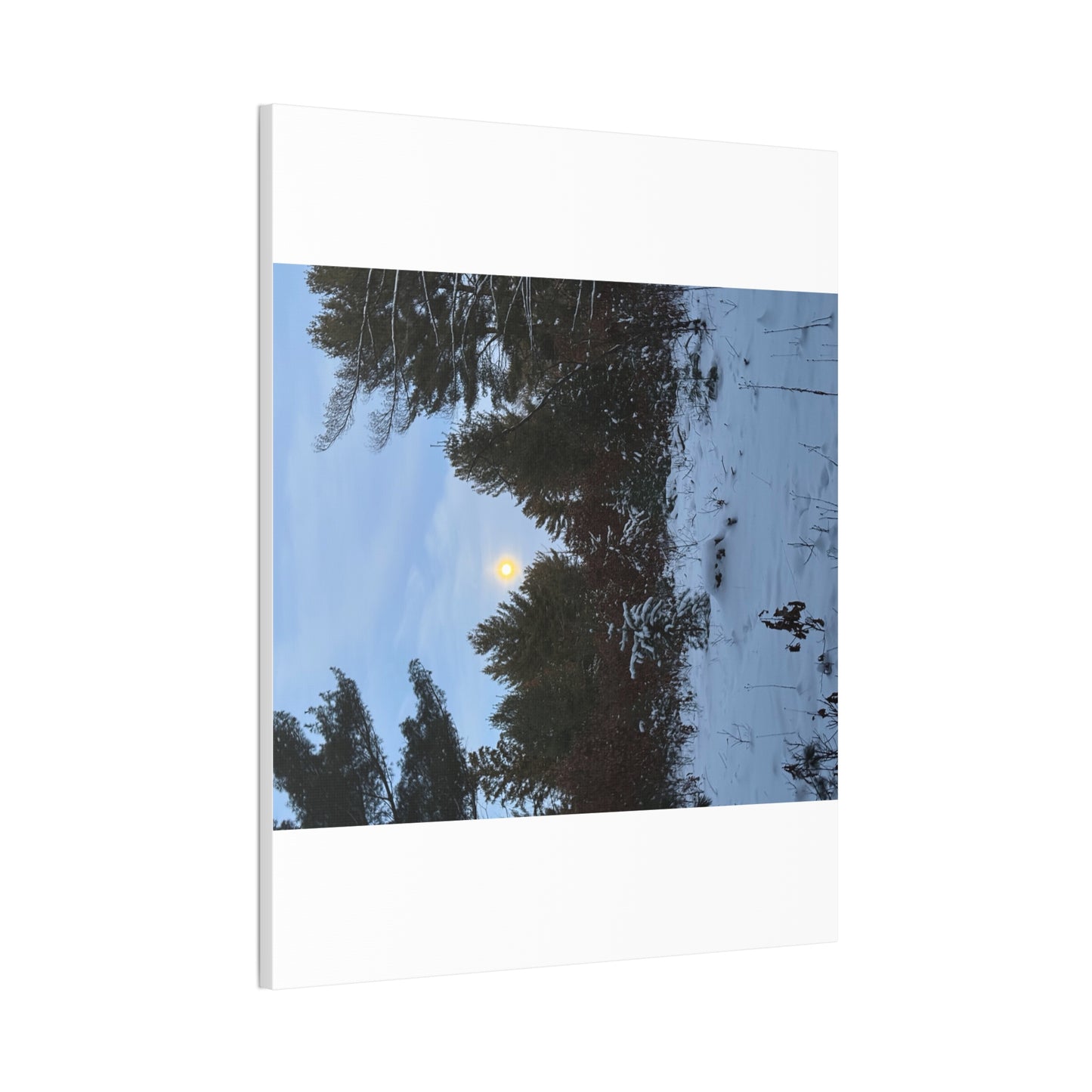 Wisconsin Adrenaline Junkies - Canvas Stretched, 0.75" - Snow