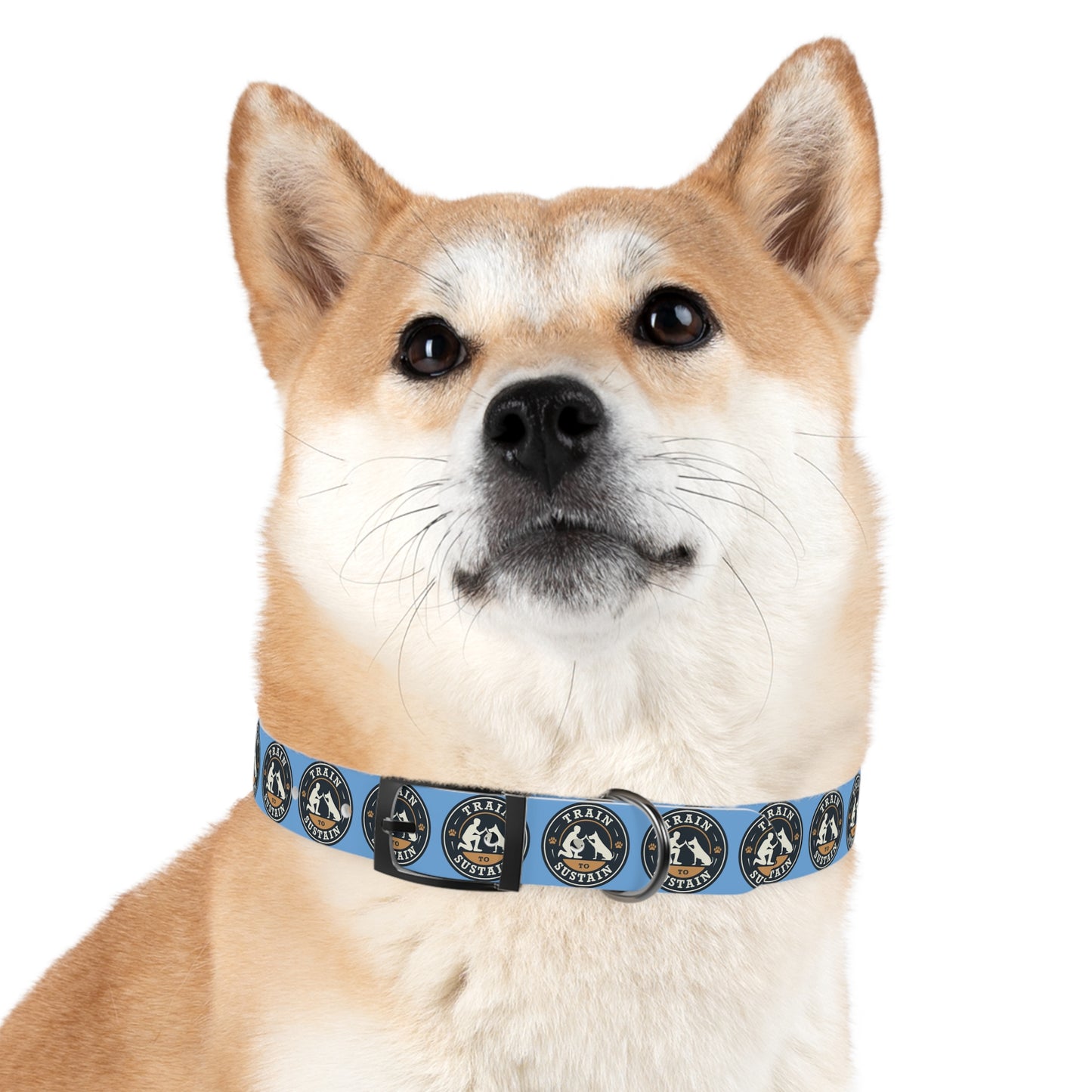 Train & Sustain - Dog Collar