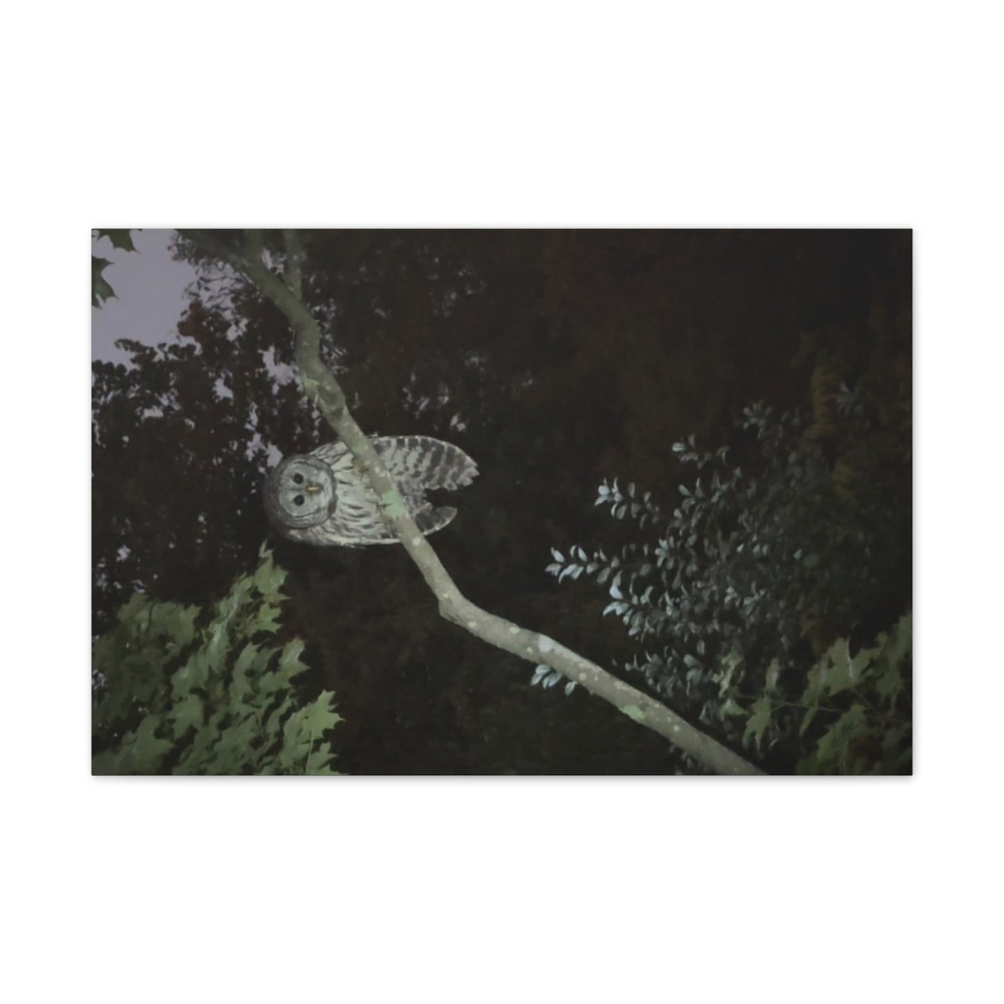 Wisconsin Adrenaline Junkies - Canvas Stretched, 0.75" - Watcher