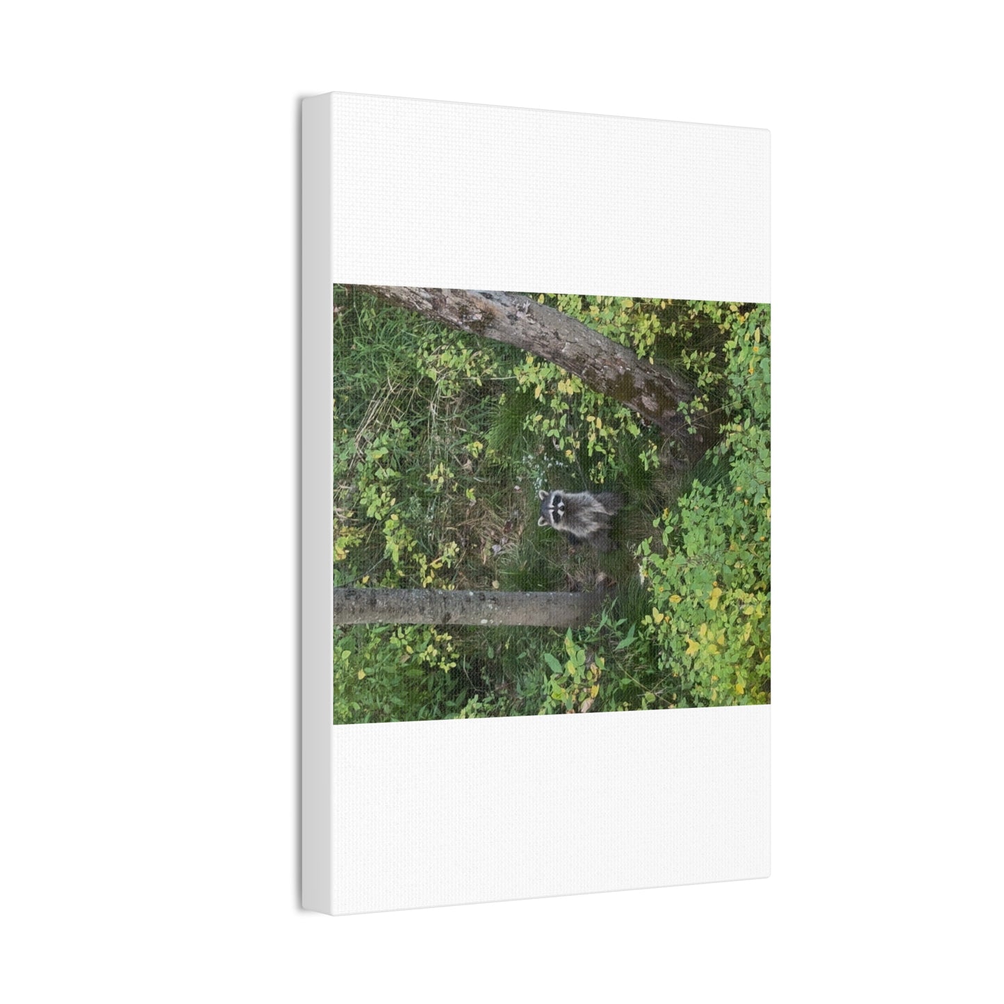 Wisconsin Adrenaline Junkies - Canvas Stretched, 0.75" - Friend