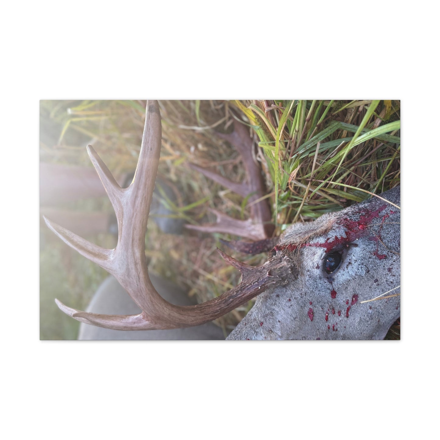 Wisconsin Adrenaline Junkies - Canvas Stretched, 0.75" - Gone