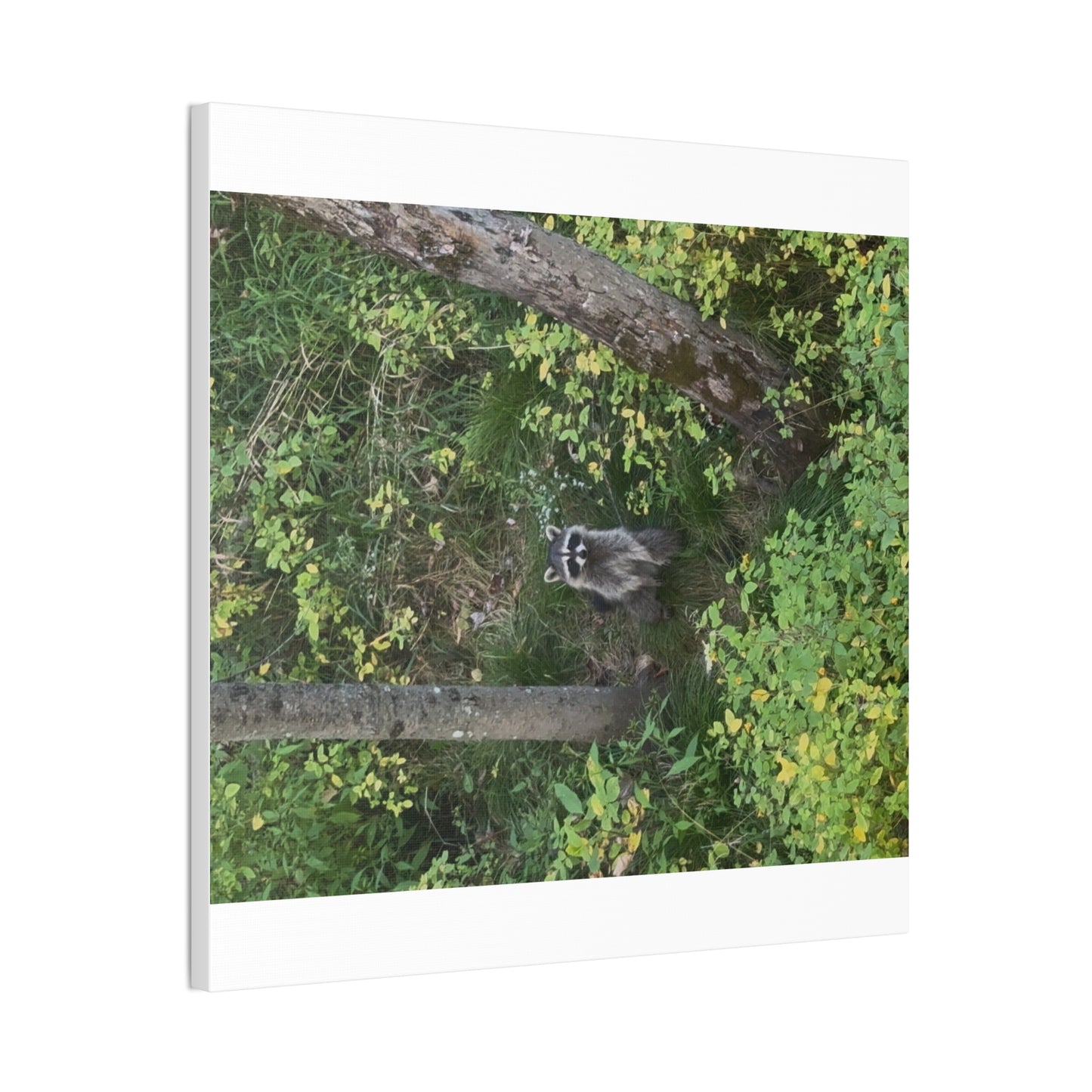 Wisconsin Adrenaline Junkies - Canvas Stretched, 0.75" - Friend