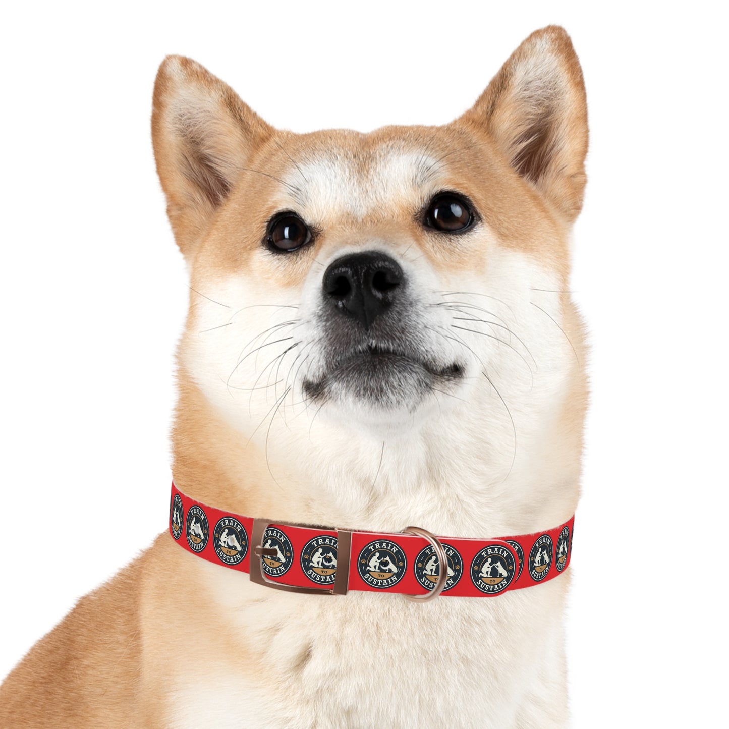 Train to Sustain Design - Dog Collar (Red)