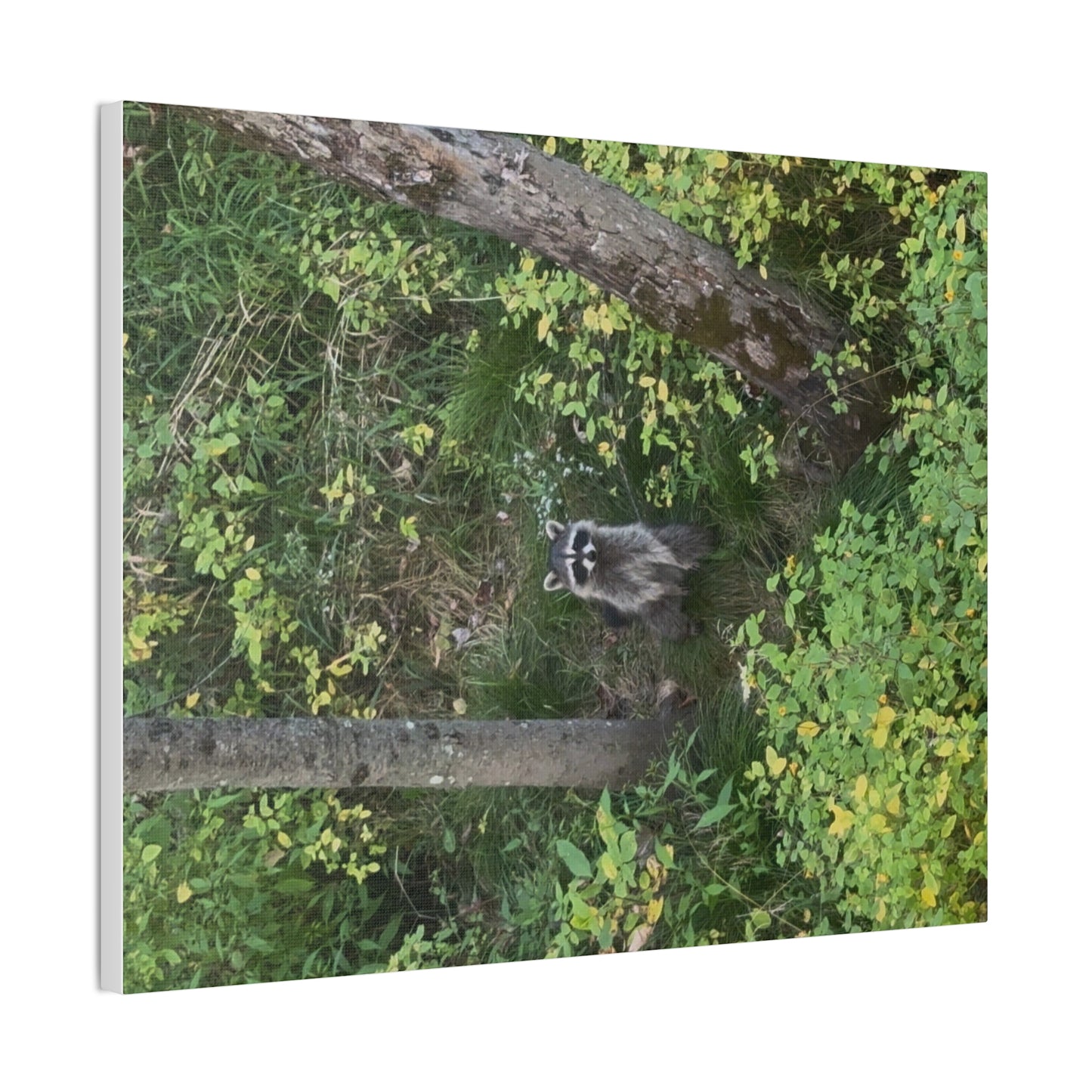 Wisconsin Adrenaline Junkies - Canvas Stretched, 0.75" - Friend