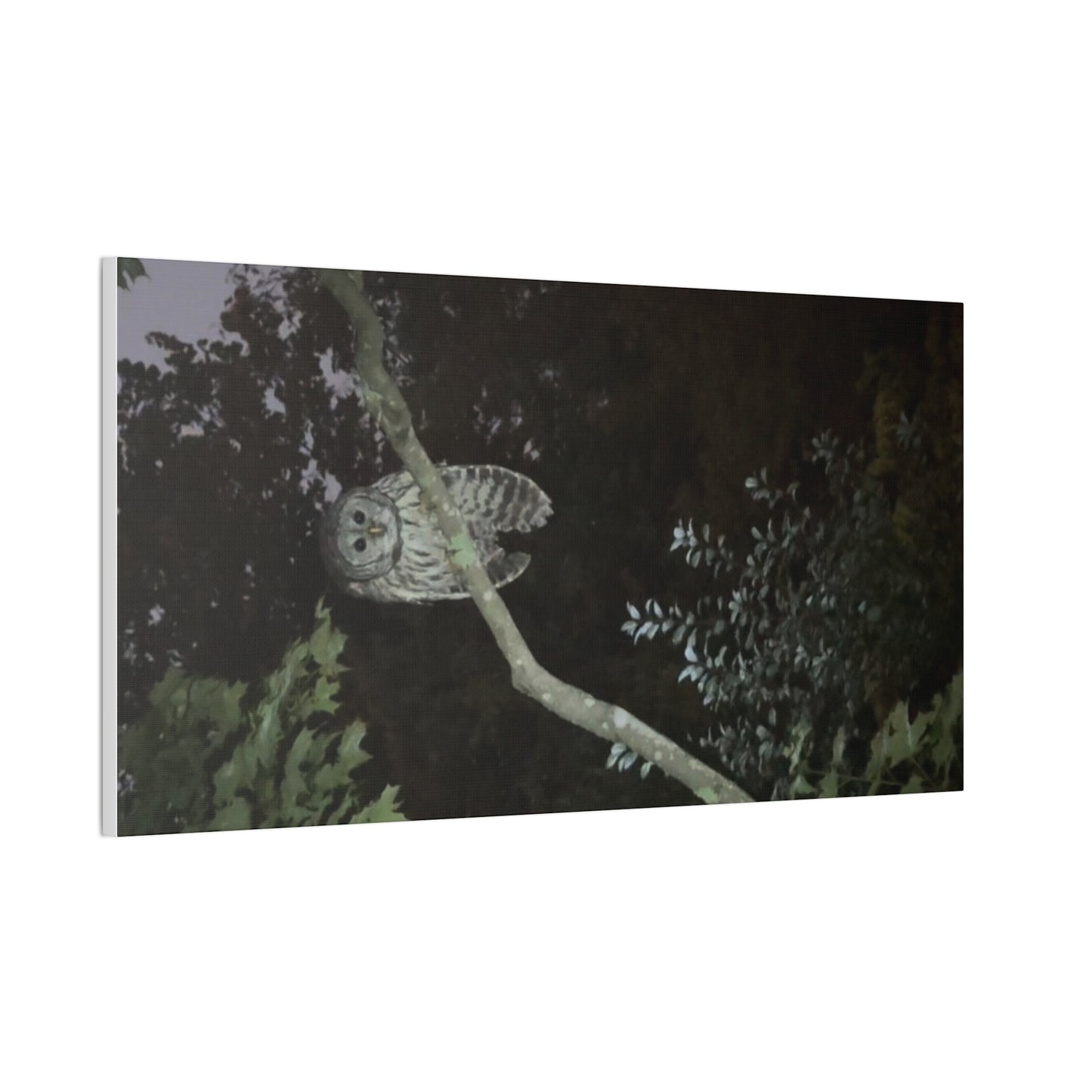 Wisconsin Adrenaline Junkies - Canvas Stretched, 0.75" - Watcher