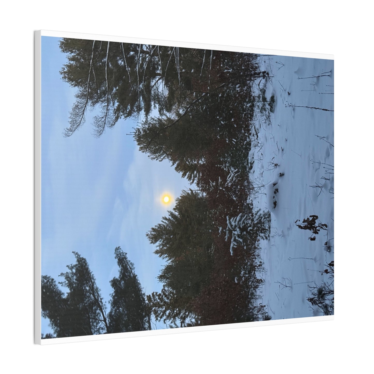 Wisconsin Adrenaline Junkies - Canvas Stretched, 0.75" - Snow