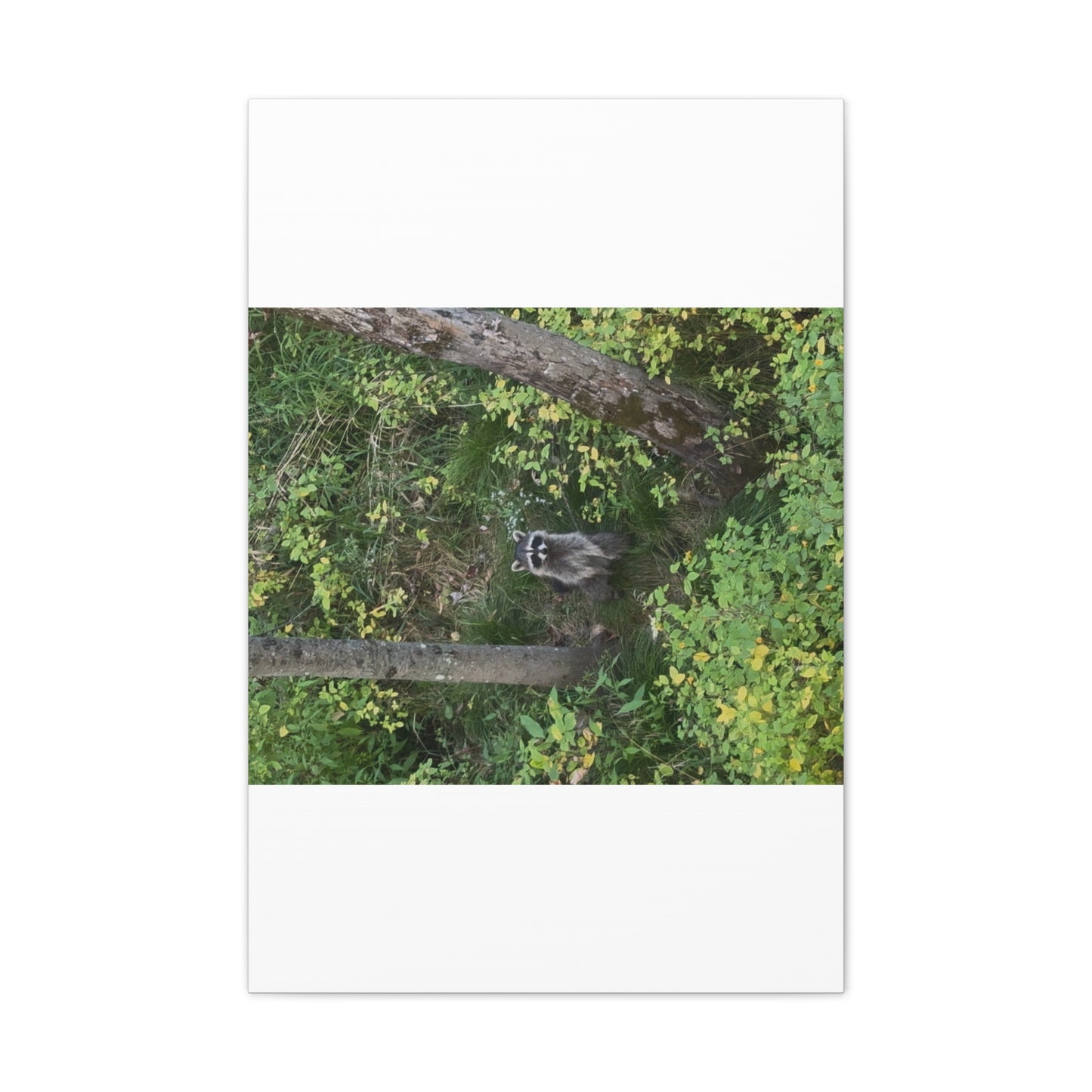 Wisconsin Adrenaline Junkies - Canvas Stretched, 0.75" - Friend
