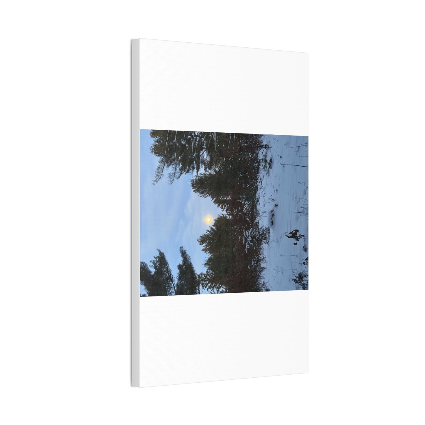 Wisconsin Adrenaline Junkies - Canvas Stretched, 0.75" - Snow