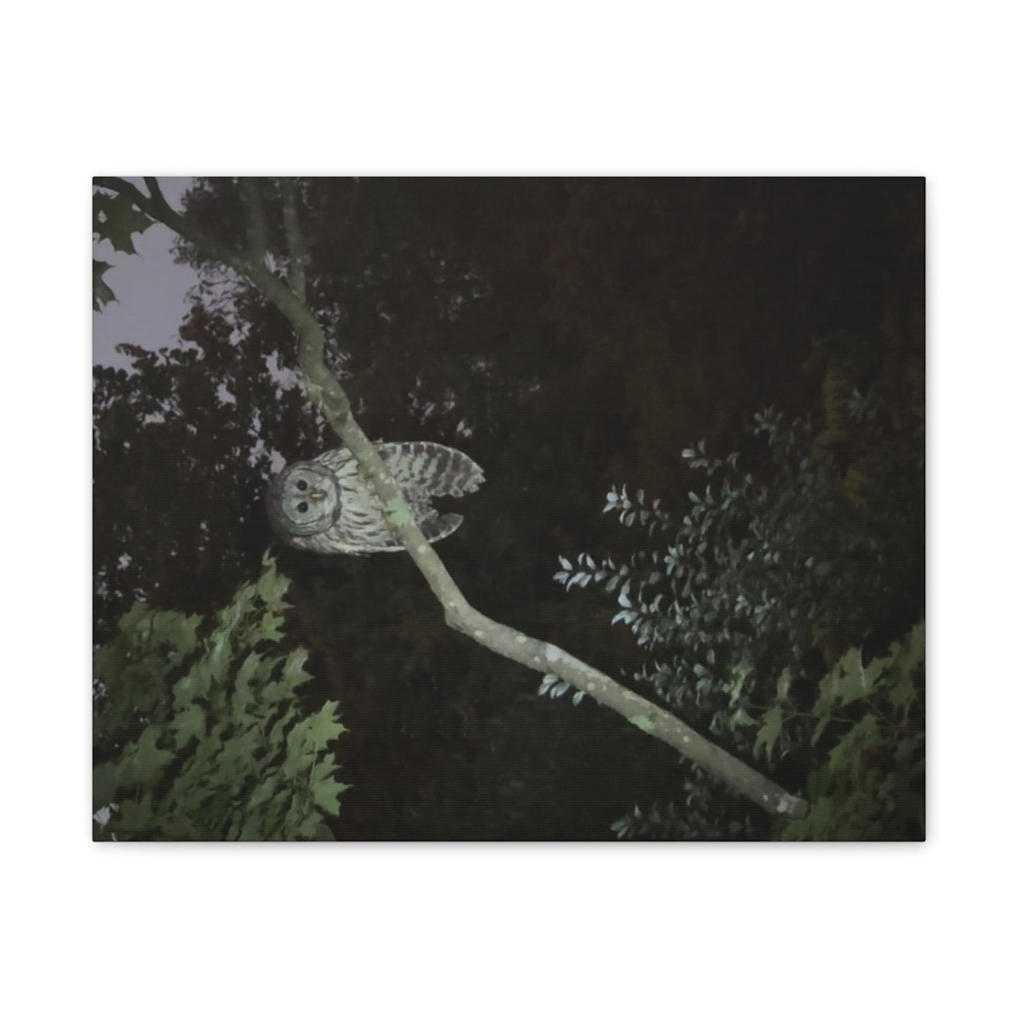 Wisconsin Adrenaline Junkies - Canvas Stretched, 0.75" - Watcher