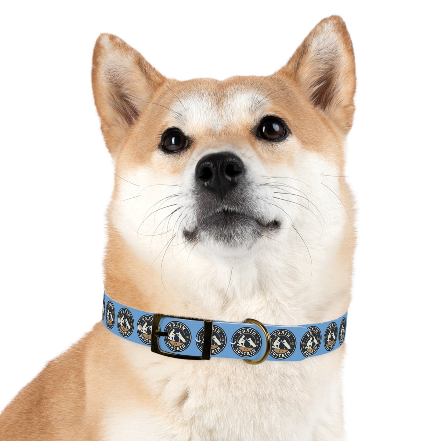 Train & Sustain - Dog Collar