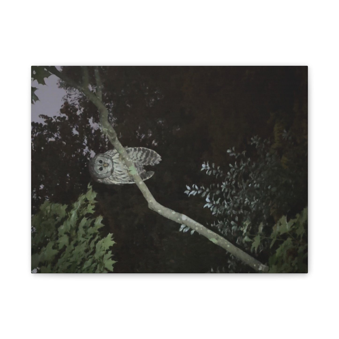 Wisconsin Adrenaline Junkies - Canvas Stretched, 0.75" - Watcher