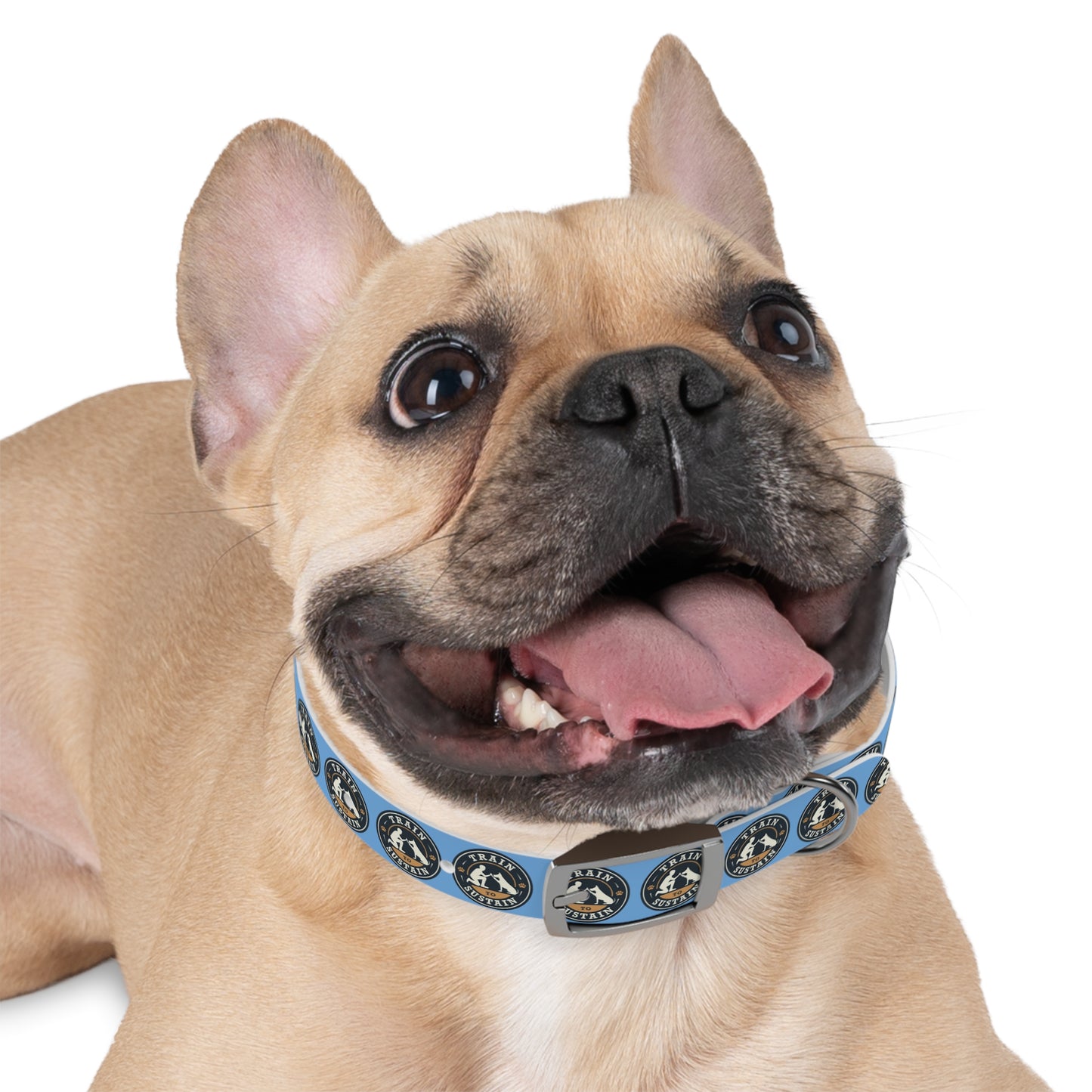 Train & Sustain - Dog Collar