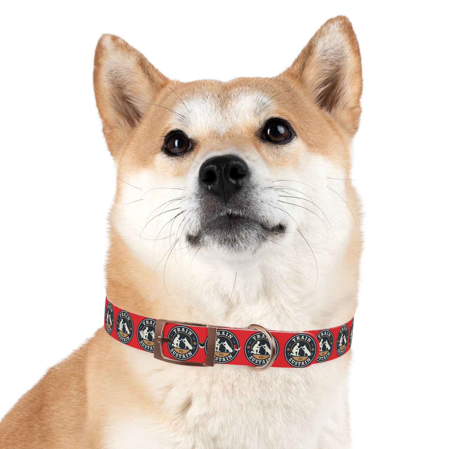 Train to Sustain Design - Dog Collar (Red)
