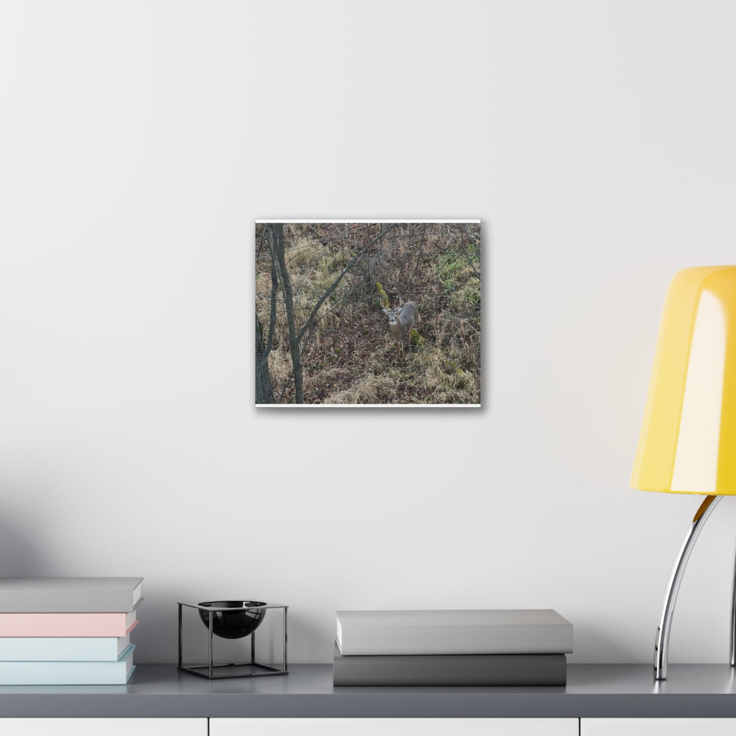 Wisconsin Adrenaline Junkies - Canvas Stretched, 0.75" - Deer