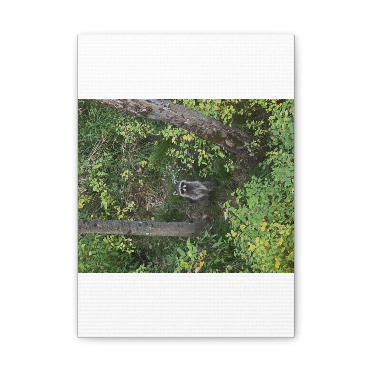 Wisconsin Adrenaline Junkies - Canvas Stretched, 0.75" - Friend