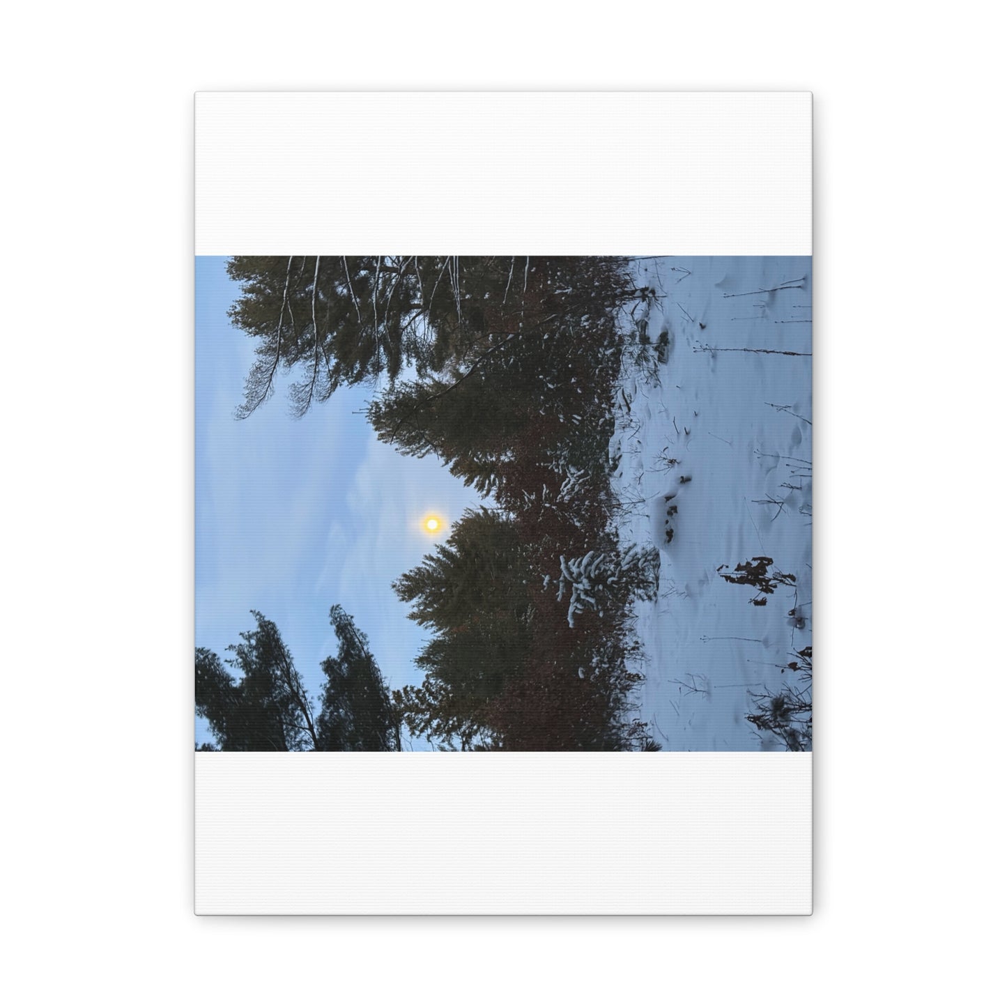 Wisconsin Adrenaline Junkies - Canvas Stretched, 0.75" - Snow
