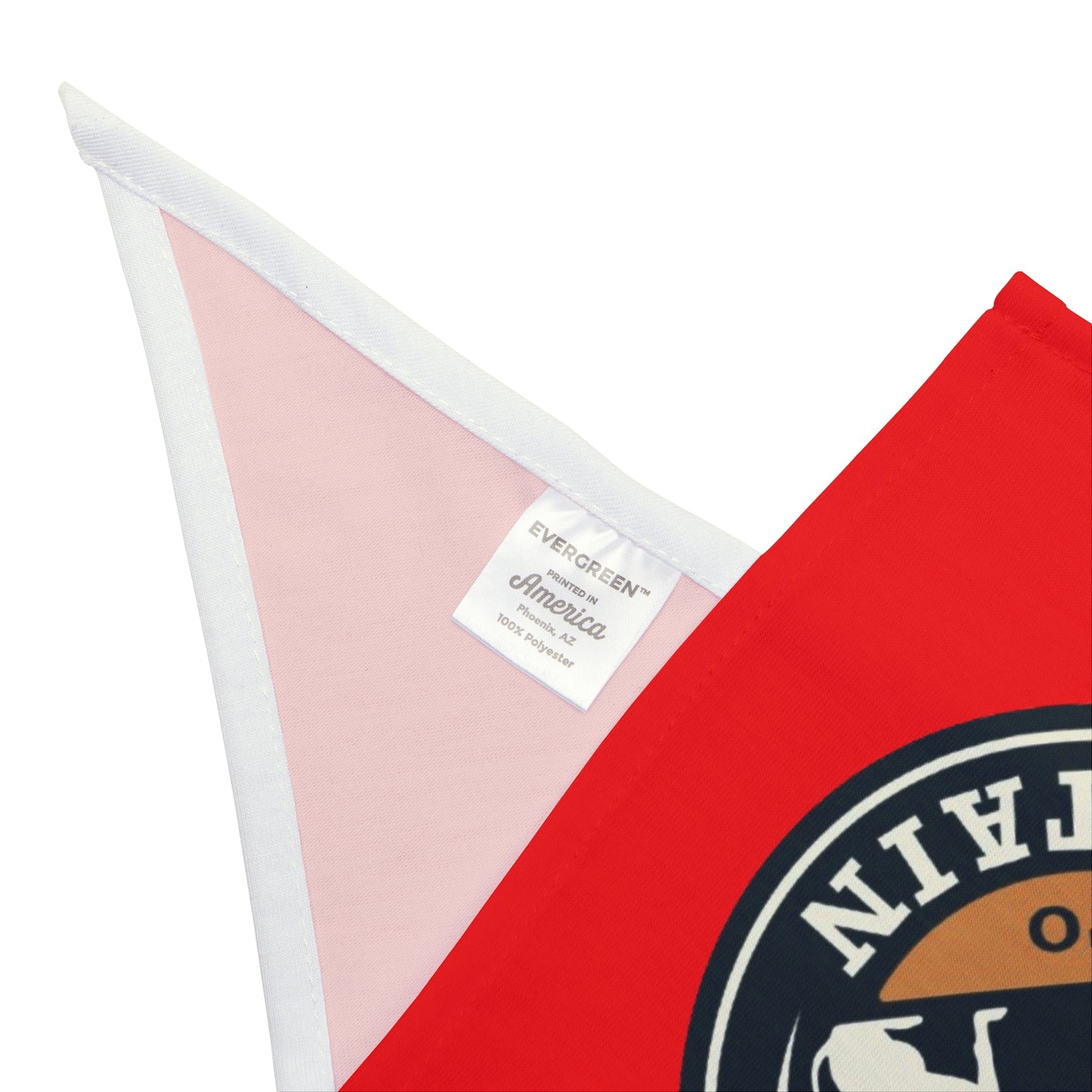 Train to Sustain - Pet Bandana